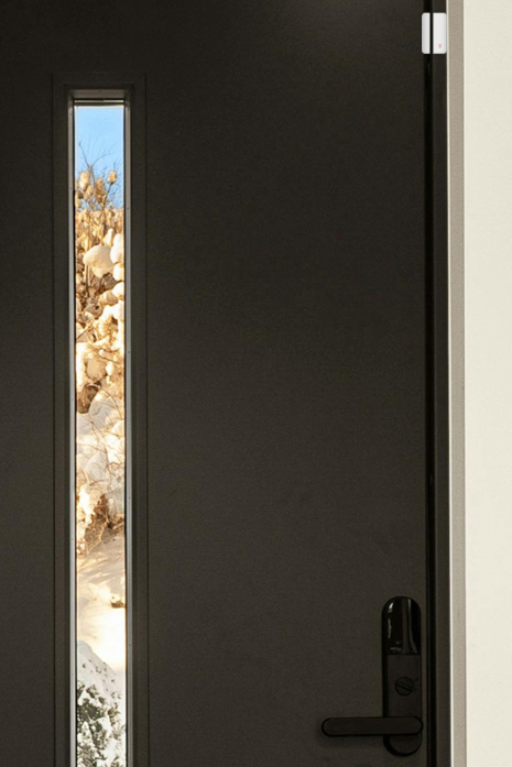 Animation graphique Door-ProMax alerte
